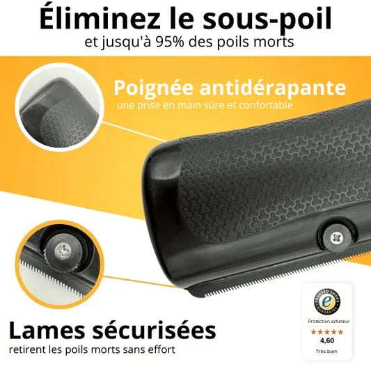 PetGlow™ - Élimine le sous-poil en une seule fois