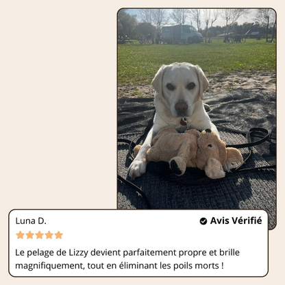 SteamGroom Pro | Brosse professionnelle de toilettage pour animaux