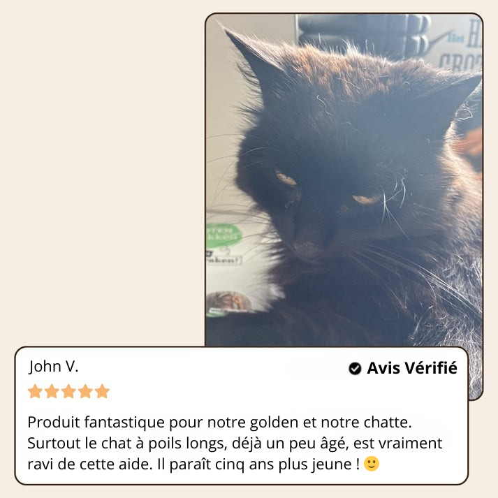 SteamGroom Pro | Brosse professionnelle de toilettage pour animaux