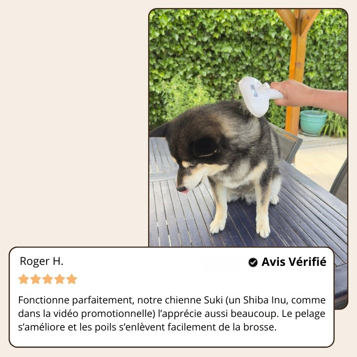 SteamGroom Pro | Brosse professionnelle de toilettage pour animaux