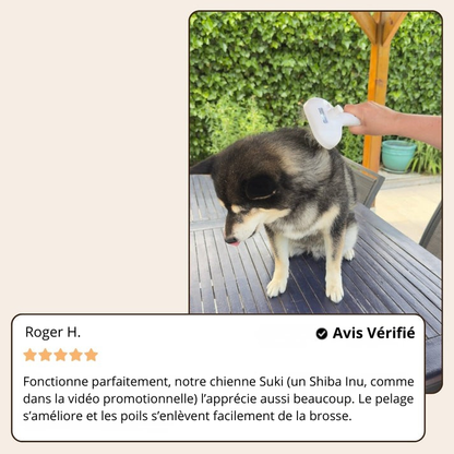 SteamGroom Pro | Brosse professionnelle de toilettage pour animaux