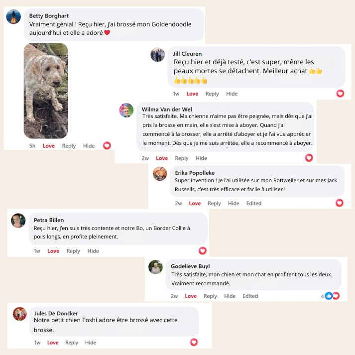 SteamGroom Pro | Brosse professionnelle de toilettage pour animaux