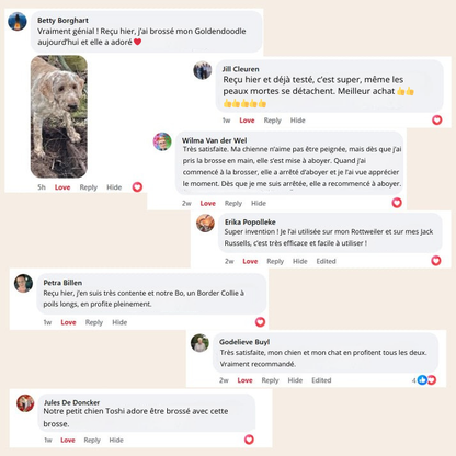 SteamGroom Pro | Brosse professionnelle de toilettage pour animaux