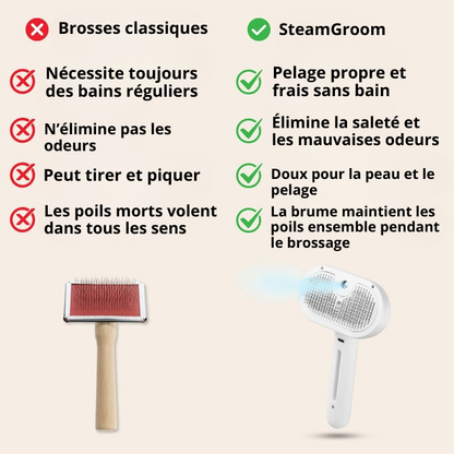 SteamGroom Pro | Brosse professionnelle de toilettage pour animaux