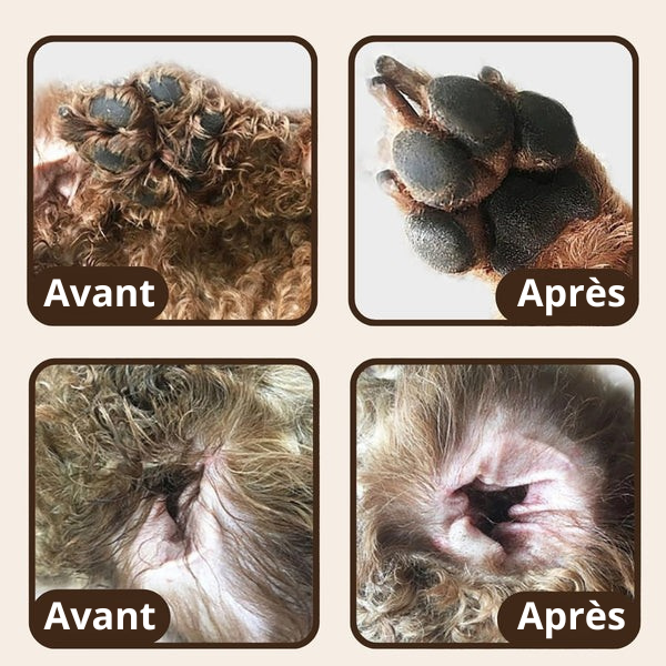 Tondeuse de précision pour animaux