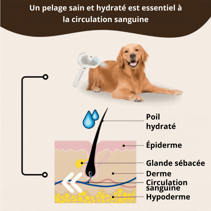 SteamGroom Pro | Brosse professionnelle de toilettage pour animaux